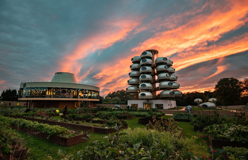 越看越像樹葡萄，但一點都不“土味”